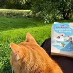 Gluecklich Am Bach