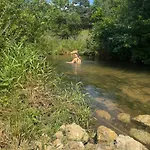 Nyaraló Gluecklich Am Bach