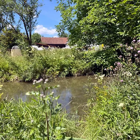 Gluecklich Am Bach