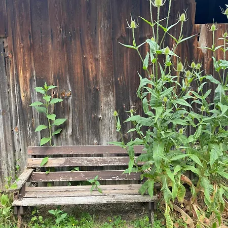 Gluecklich Am Bach Semesterbostad *