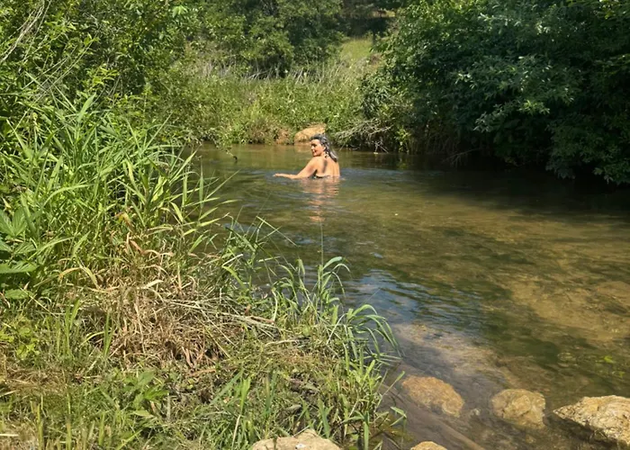 Tatil Evi Gluecklich Am Bach
